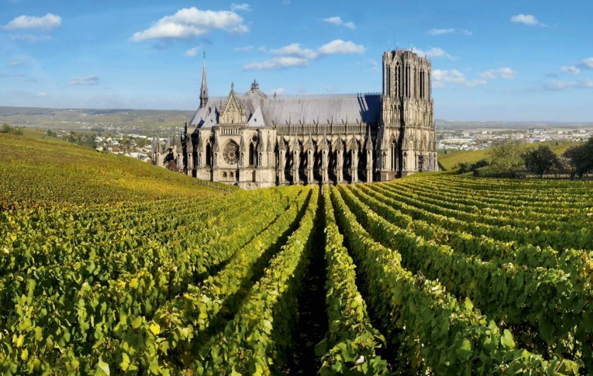 Perché la Francia è considerata il luogo di nascita dello champagne